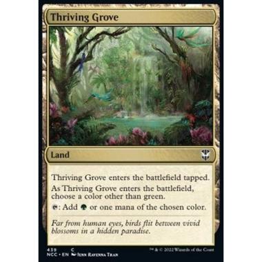 Thriving Grove - Thriving Grove - [NCC] [NM]