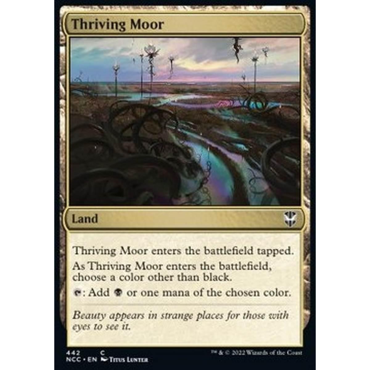 Thriving Moor - Thriving Moor - [NCC] [NM]