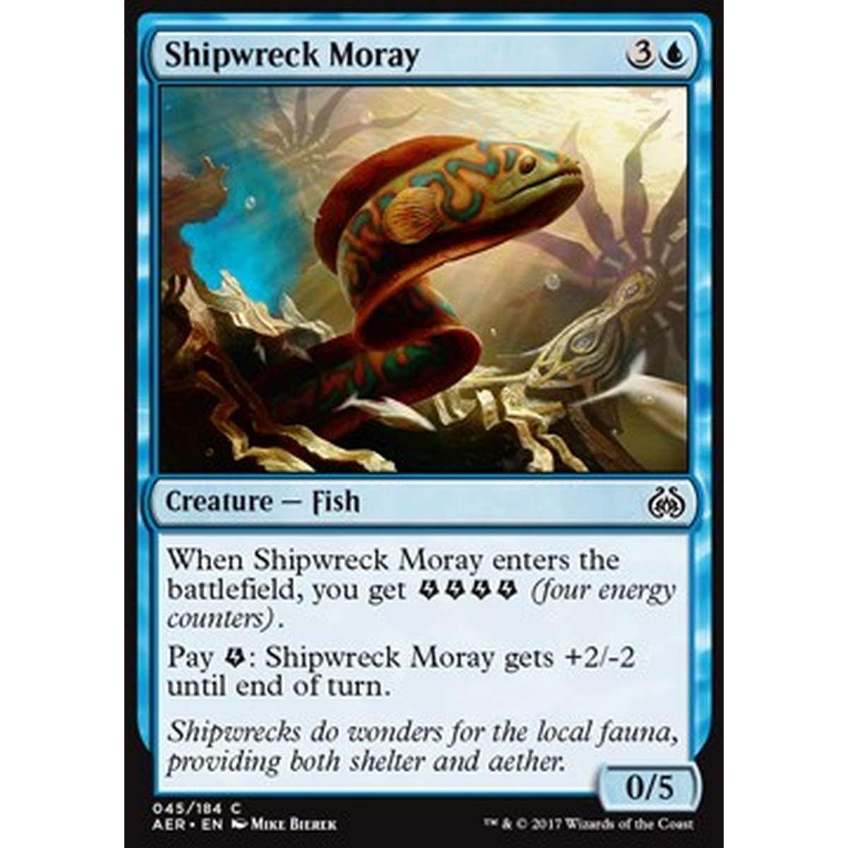 Shipwreck Moray - Murena dei Relitti - [AER] [NM]