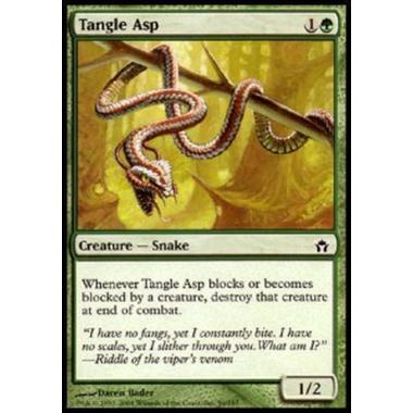 Tangle Asp - Tangle Asp - [5DN] [NM]