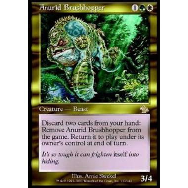 Anurid Brushhopper - Anurid Brushhopper - [JUD] [EX]