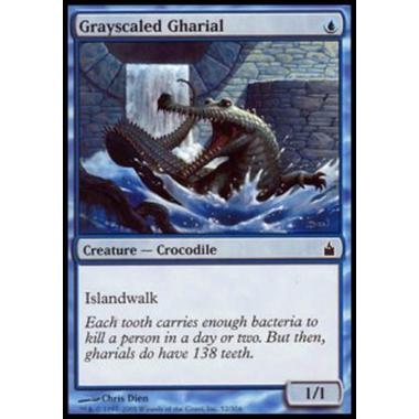 Grayscaled Gharial - Gharial Grigioscaglia - [RAV] [EX]
