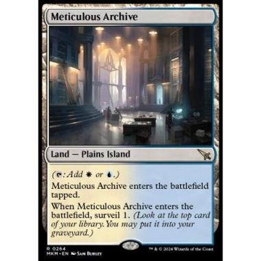 Meticulous Archive - Meticulous Archive - [MKM] [NM]