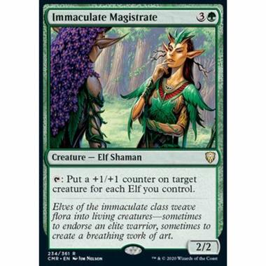 Immaculate Magistrate - Immaculate Magistrate - [CMR] [NM]