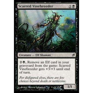 Scarred Vinebreeder - Rampicoltore Sfregiato - [LRW] [NM]