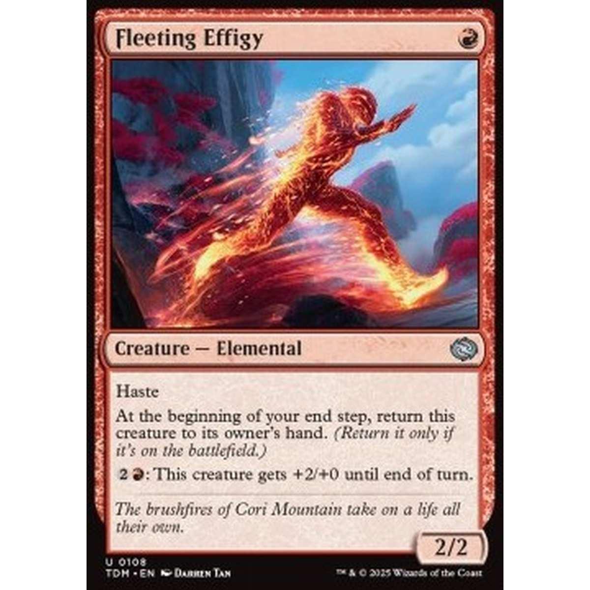 Fleeting Effigy - Fleeting Effigy - [TDM][NM]