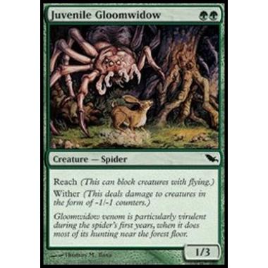 Juvenile Gloomwidow - Juvenile Gloomwidow - [SHM] [NM]