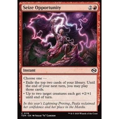 Seize Opportunity - Seize Opportunity - [TDM][NM]