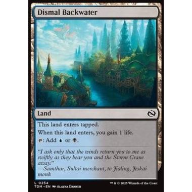 Dismal Backwater - Dismal Backwater - [TDM][NM]