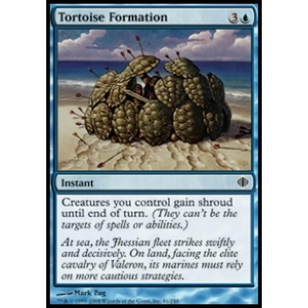 Tortoise Formation - Tortoise Formation - [ALA] [NM]