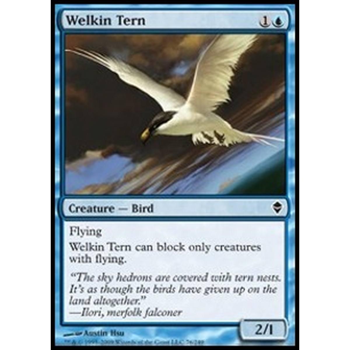 Welkin Tern - Sterna del Cielo - [ZEN] [NM]