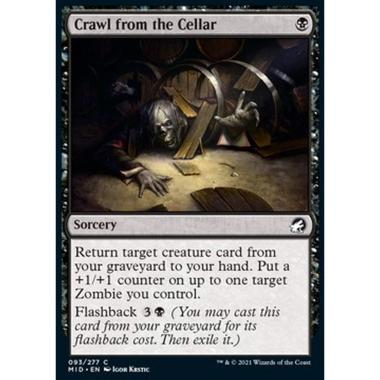 Crawl from the Cellar - Crawl from the Cellar - [MID][NM]