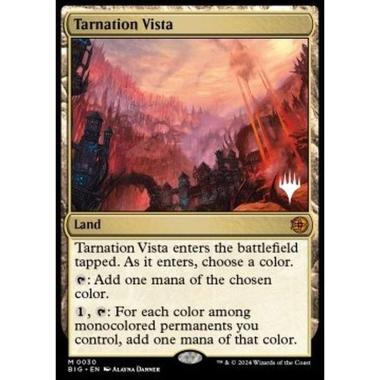 Tarnation Vista - Tarnation Vista - [POTJ][NM]