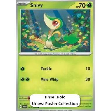 Snivy  - Snivy  - [xBLK][NM]