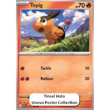 Tepig  - Tepig  - [xWHT][NM]