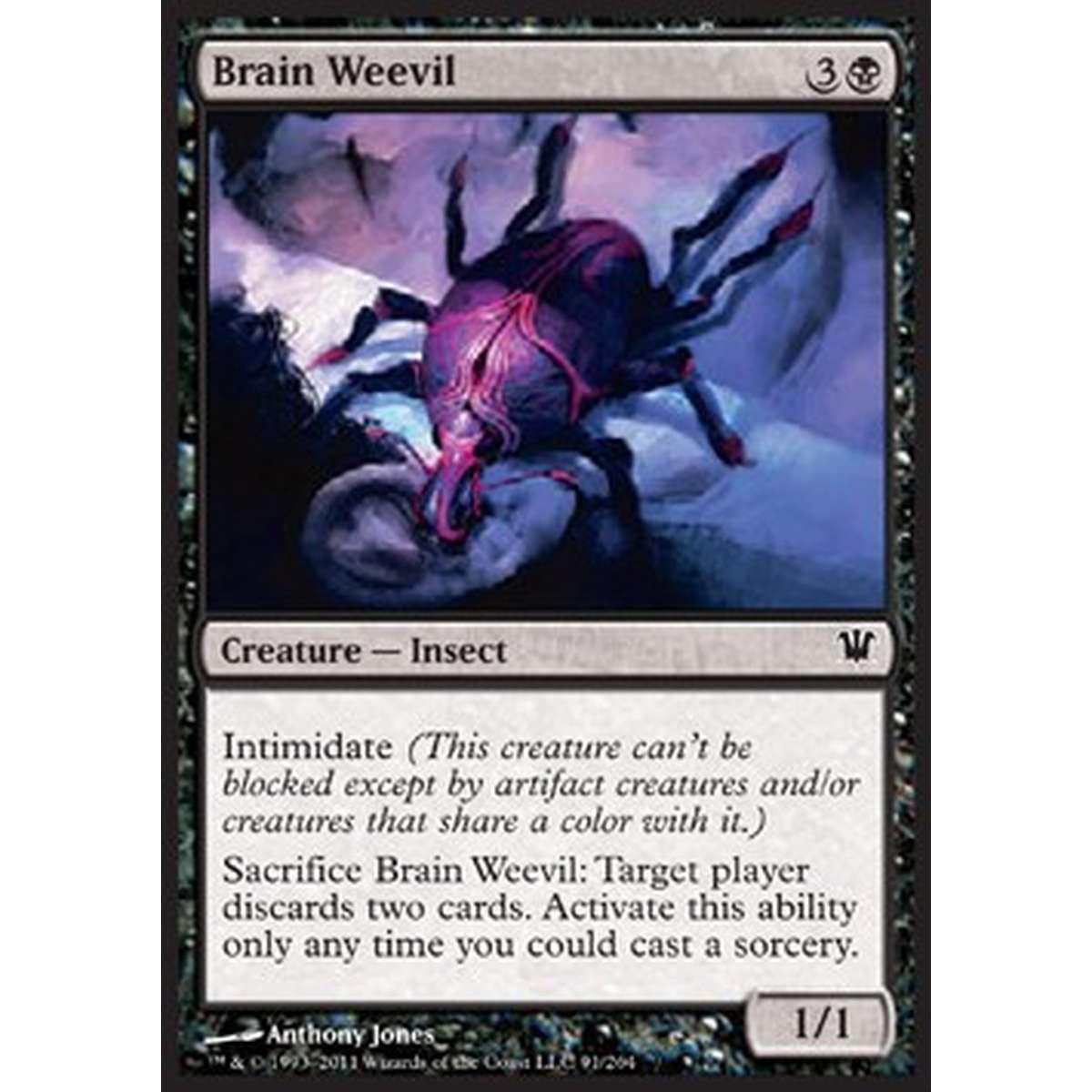 Brain Weevil - Coleottero del Cervello - [ISD] [NM]