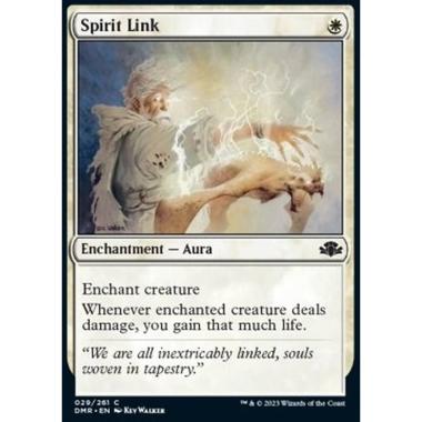 Spirit Link - Legame Spirituale - [DMR][NM]