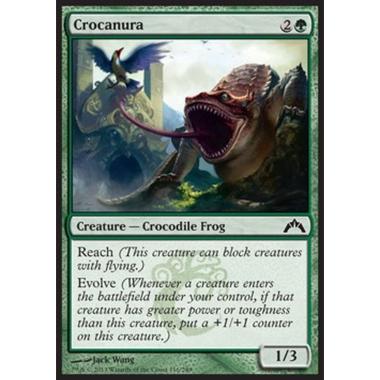 Crocanura - Anfidrillo - [GTC] [NM]