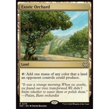 Exotic Orchard - Exotic Orchard - [DSC][NM]