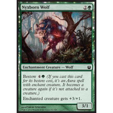 Nyxborn Wolf - Lupa Nyxiana - [BNG] [NM]