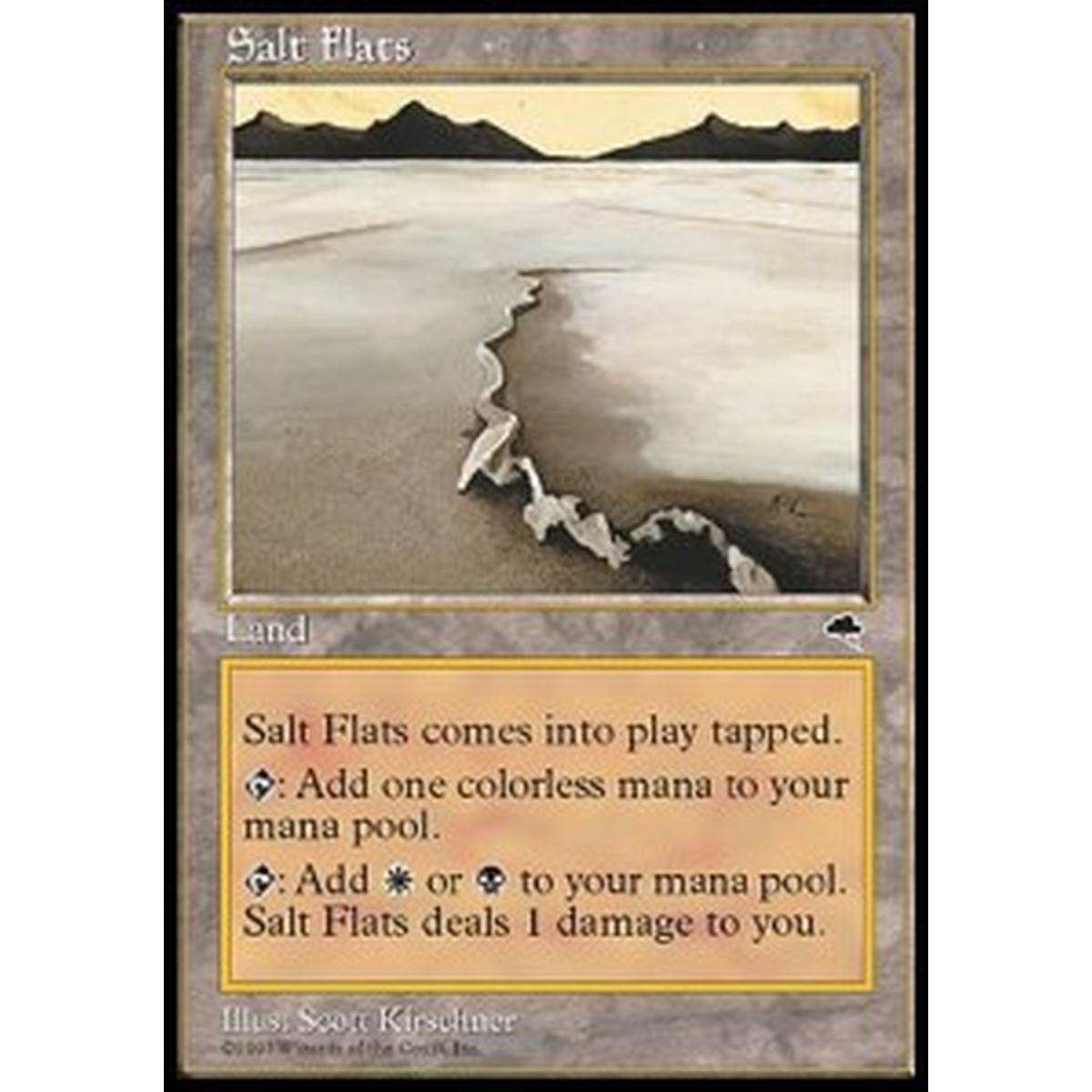 Salt Flats - Salt Flats - [TP][EX]