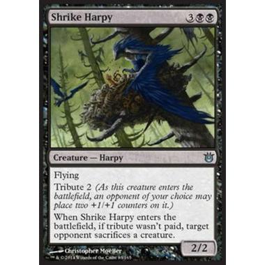 Shrike Harpy - Arpia AvÃ¨rla - [BNG] [NM]