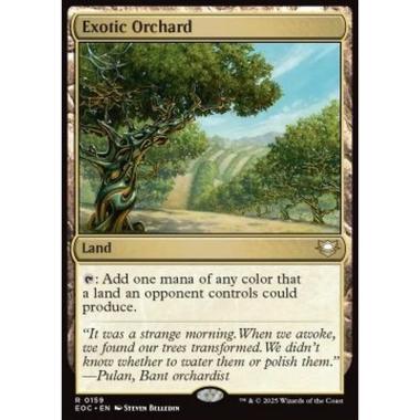 Exotic Orchard - Exotic Orchard - [EOC][NM]